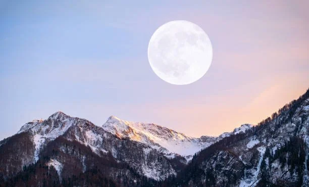 istockphoto-2187838287-612x612.jpg