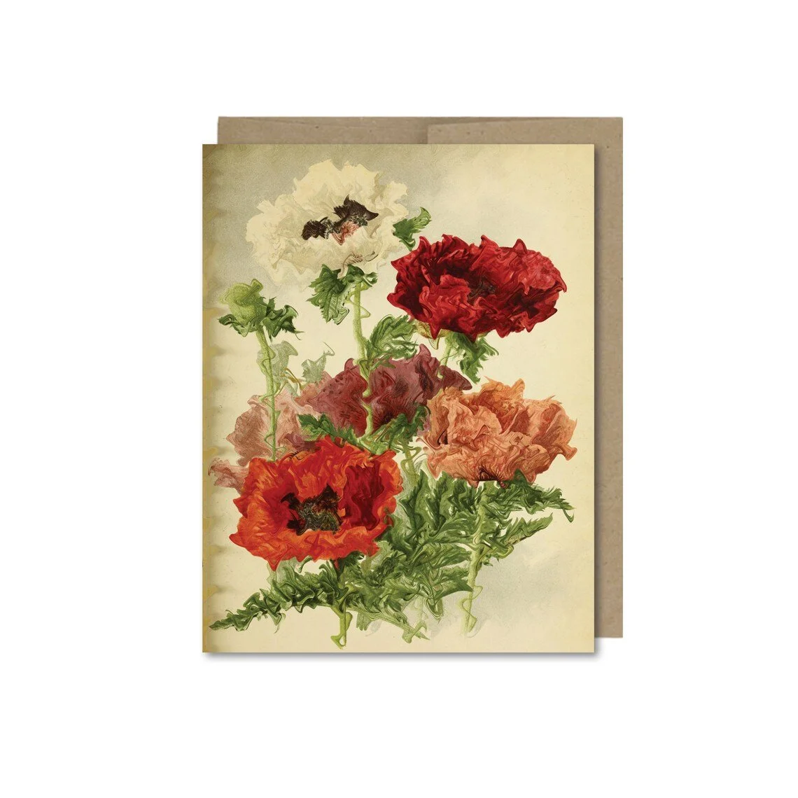 poppies.jpg