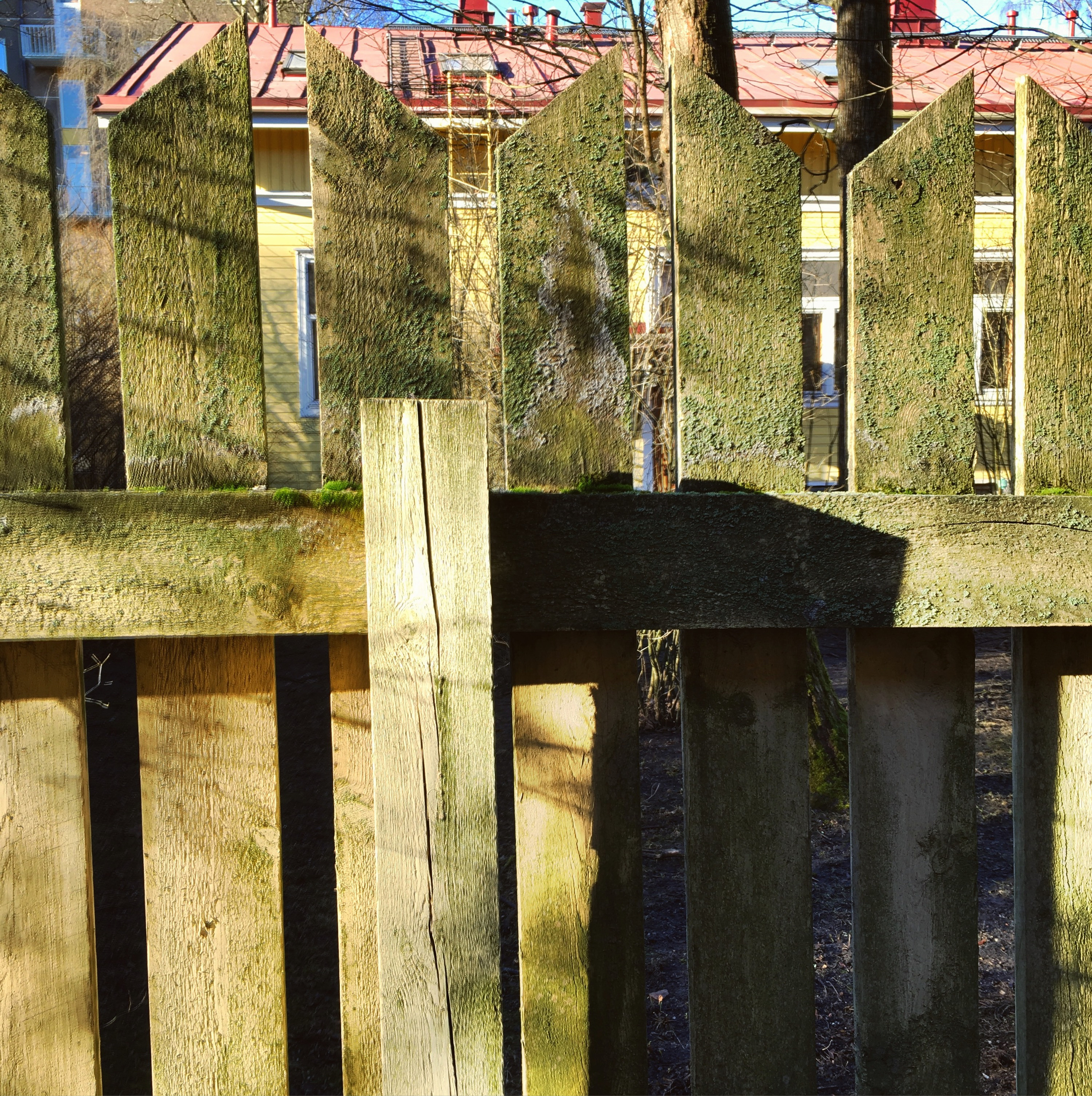Spring sun!