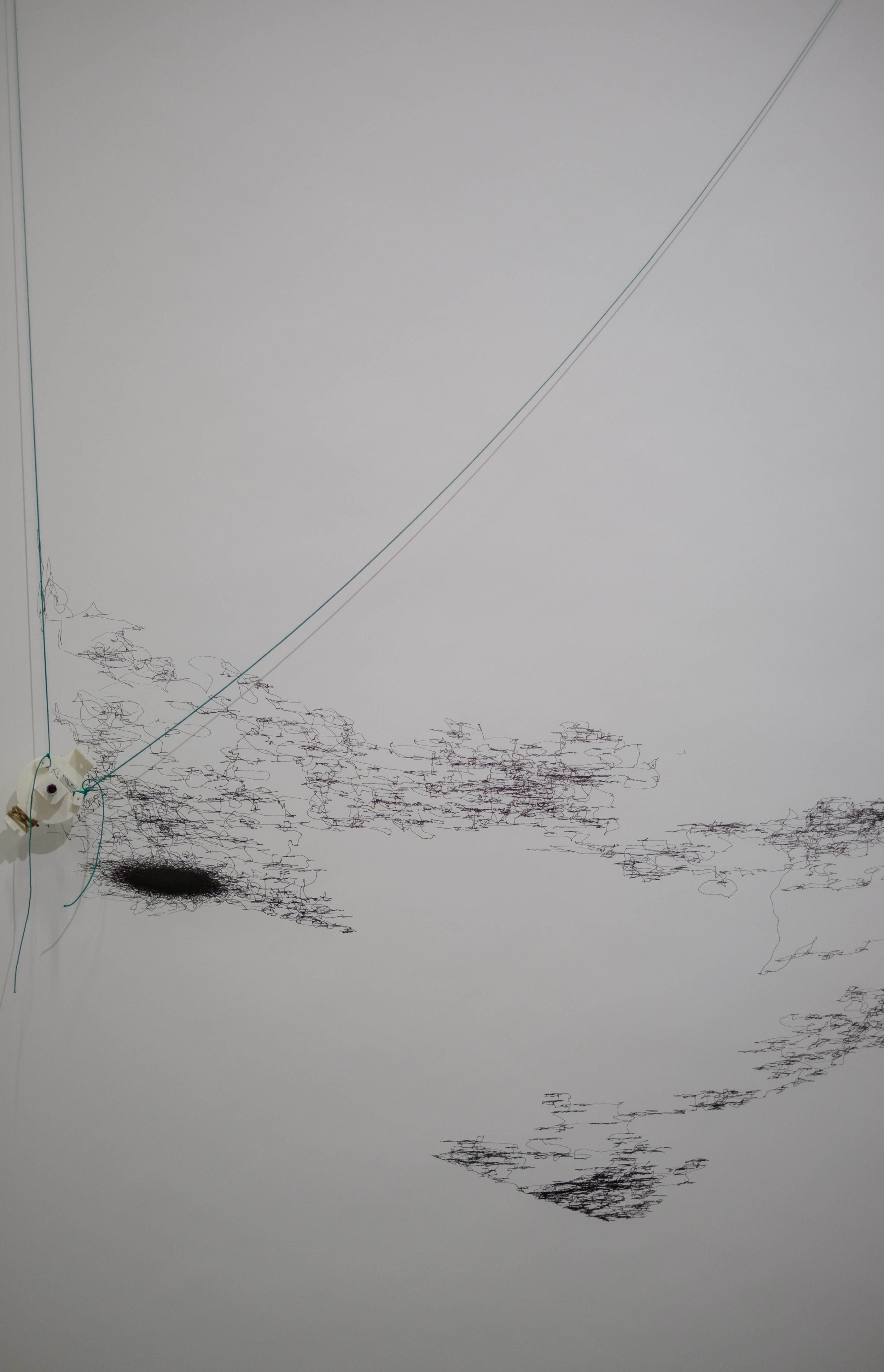 DSCF7551.jpg