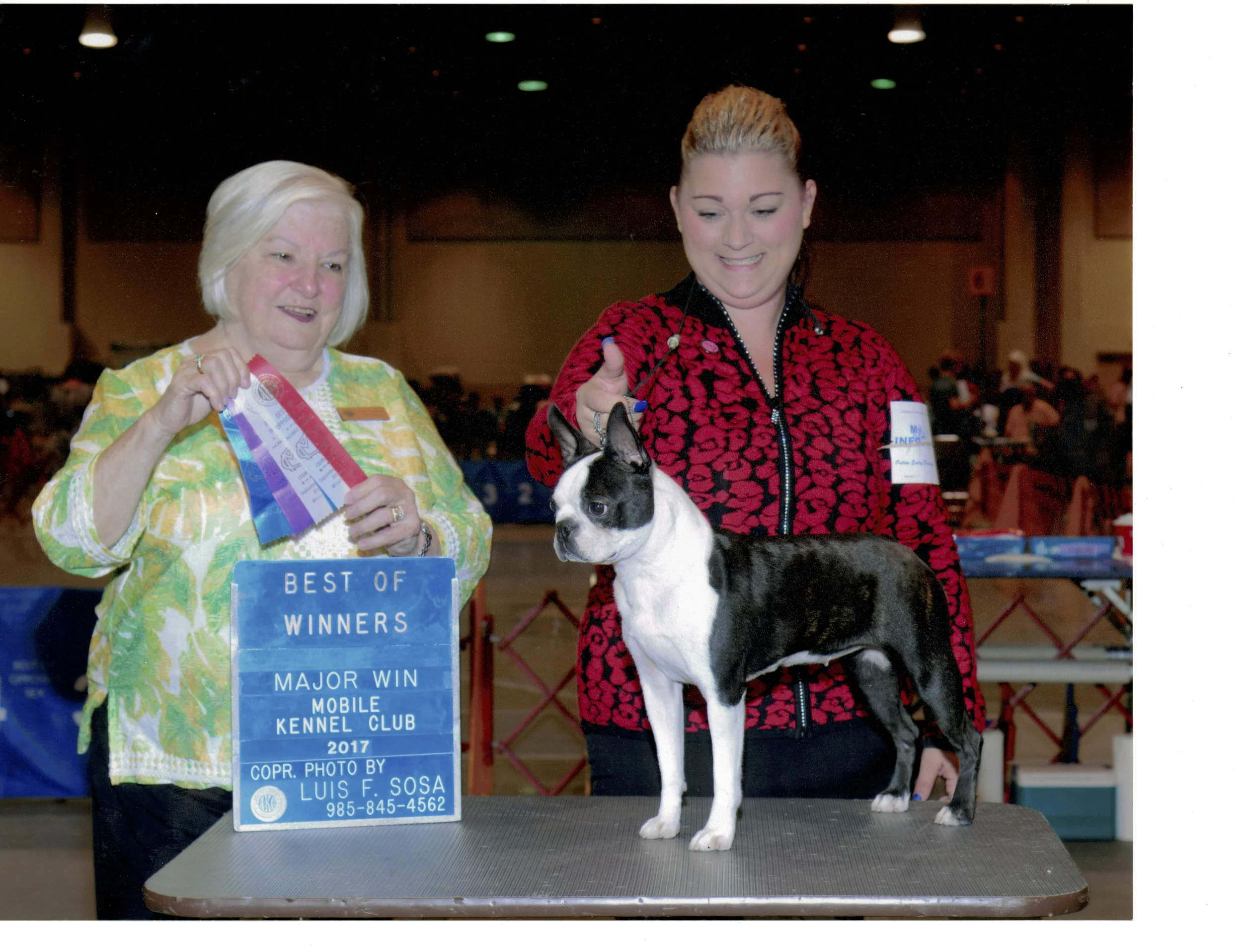 CH KCs Razzel Dazzel.jpg