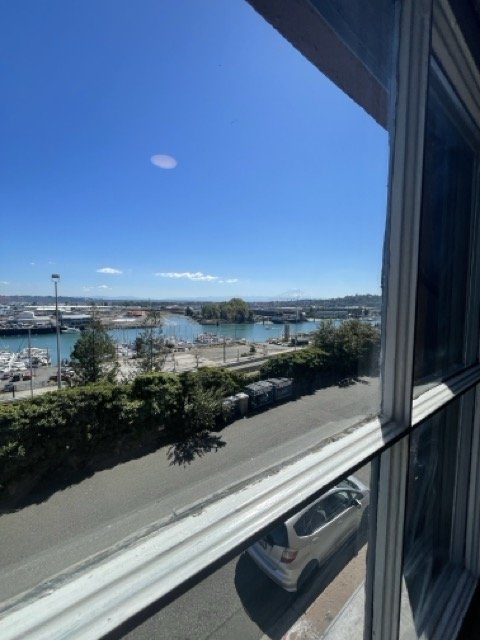 IMG_1290 Medium.jpeg