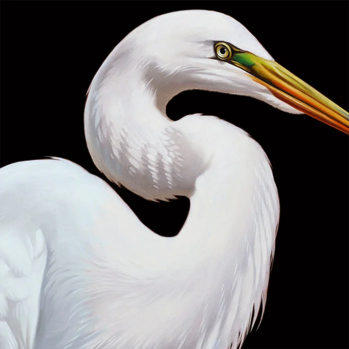 Black and White Bird Art
