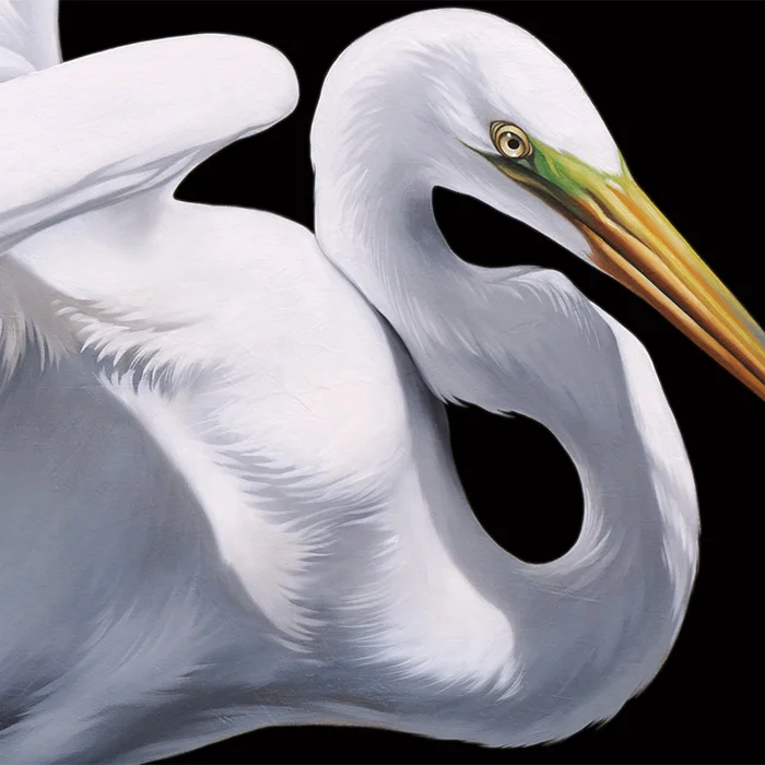Black and White Bird Artwork