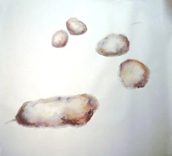 Untitled, 2012
