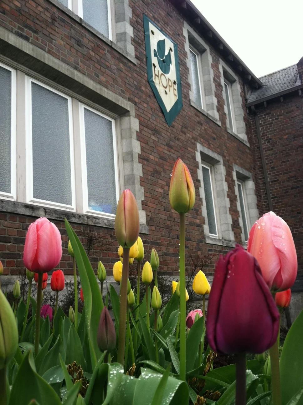 Spring New Members Class