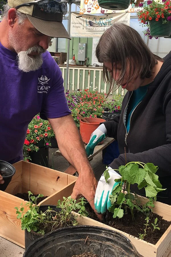 Volunteer at L’Arche Farm