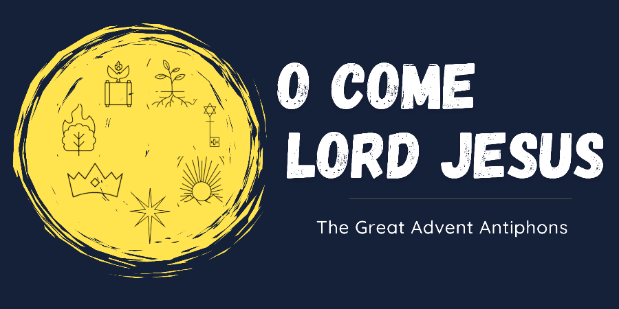 O Come, Lord Jesus - Celebrating Advent — Trinity Presbyterian Church