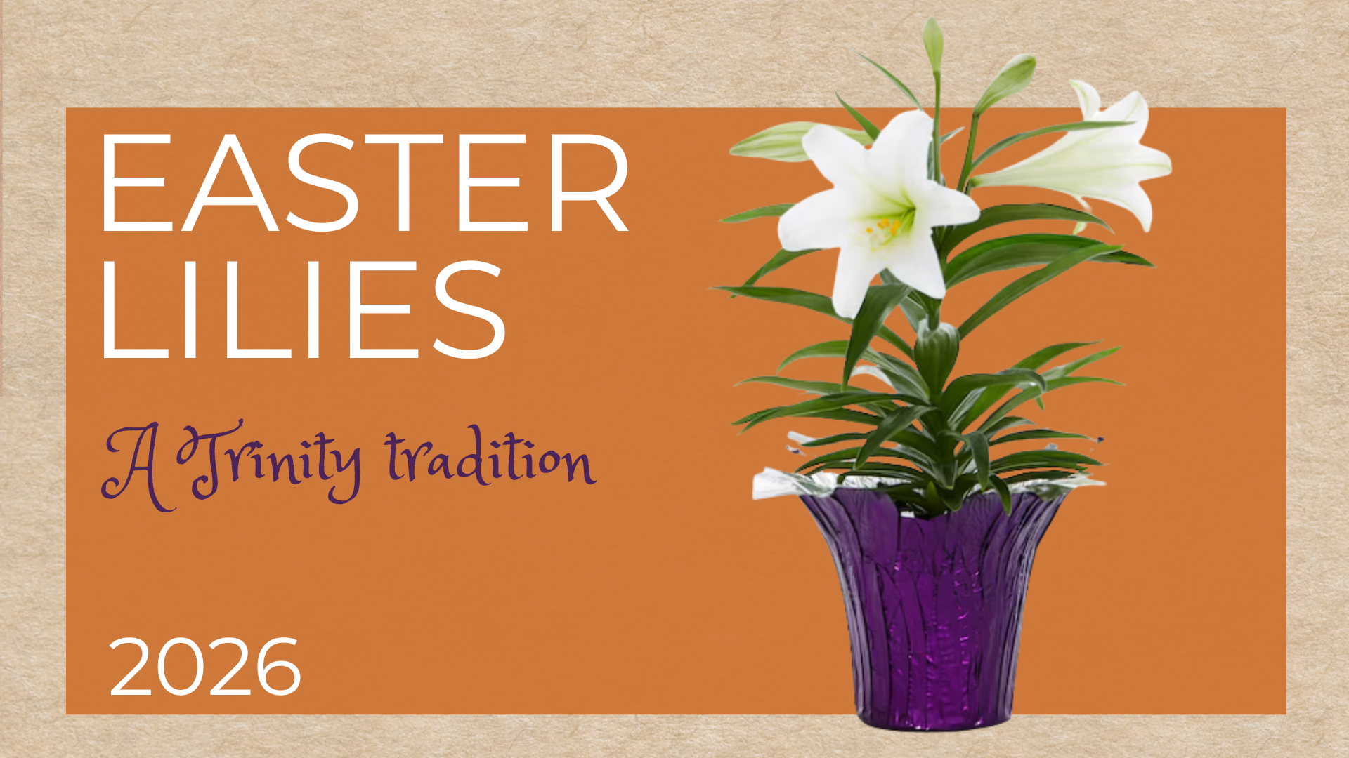 Easter Lily “Sponsorship” Information