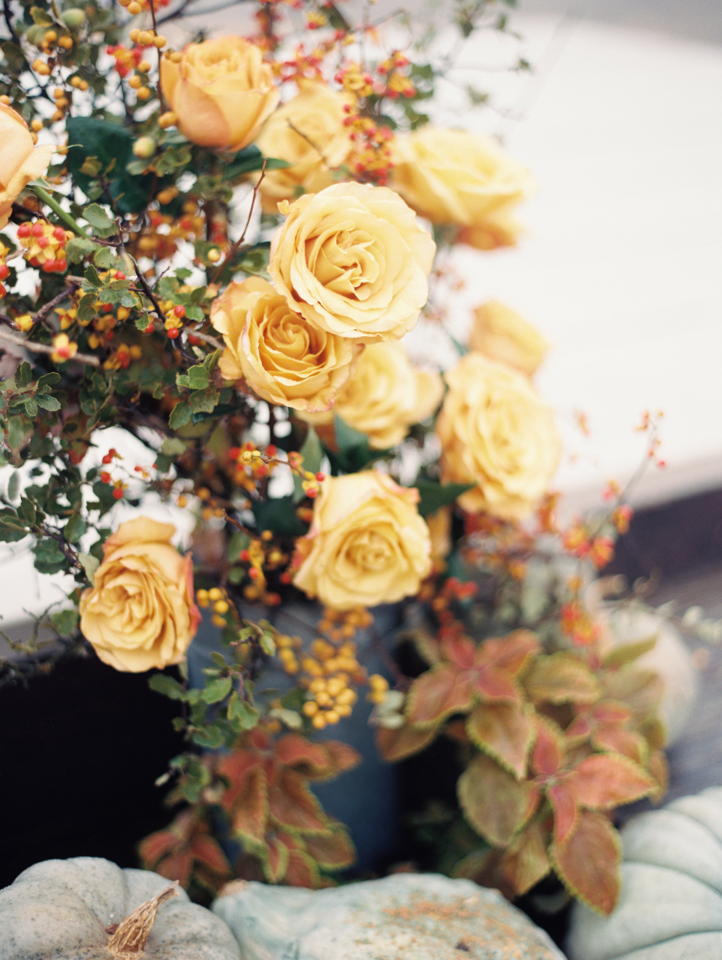KelseyAlex-Wedding-190.JPG