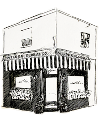 WFco-sketch-3-painted.png