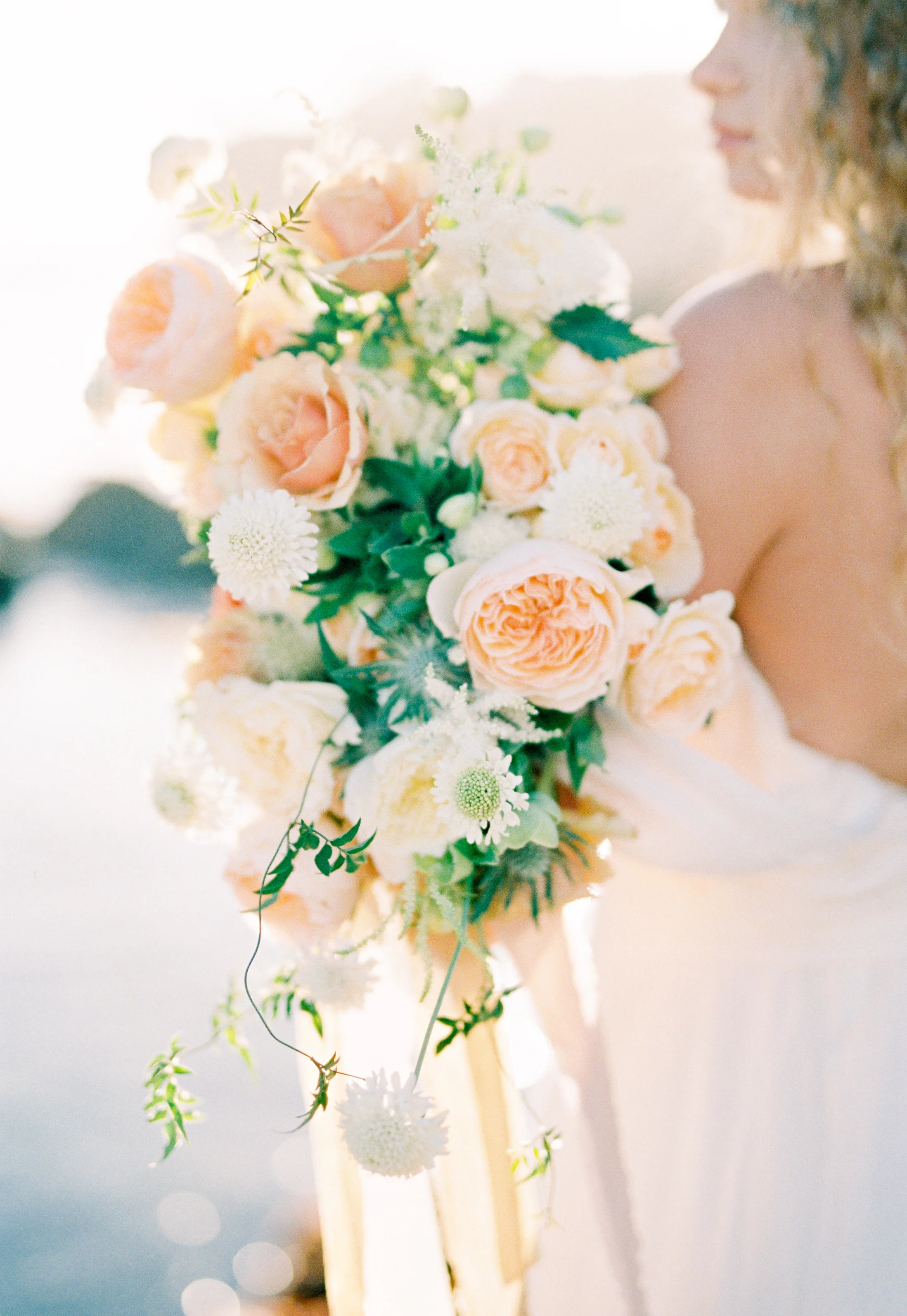 MasonNeufeldPhotography---43.jpg