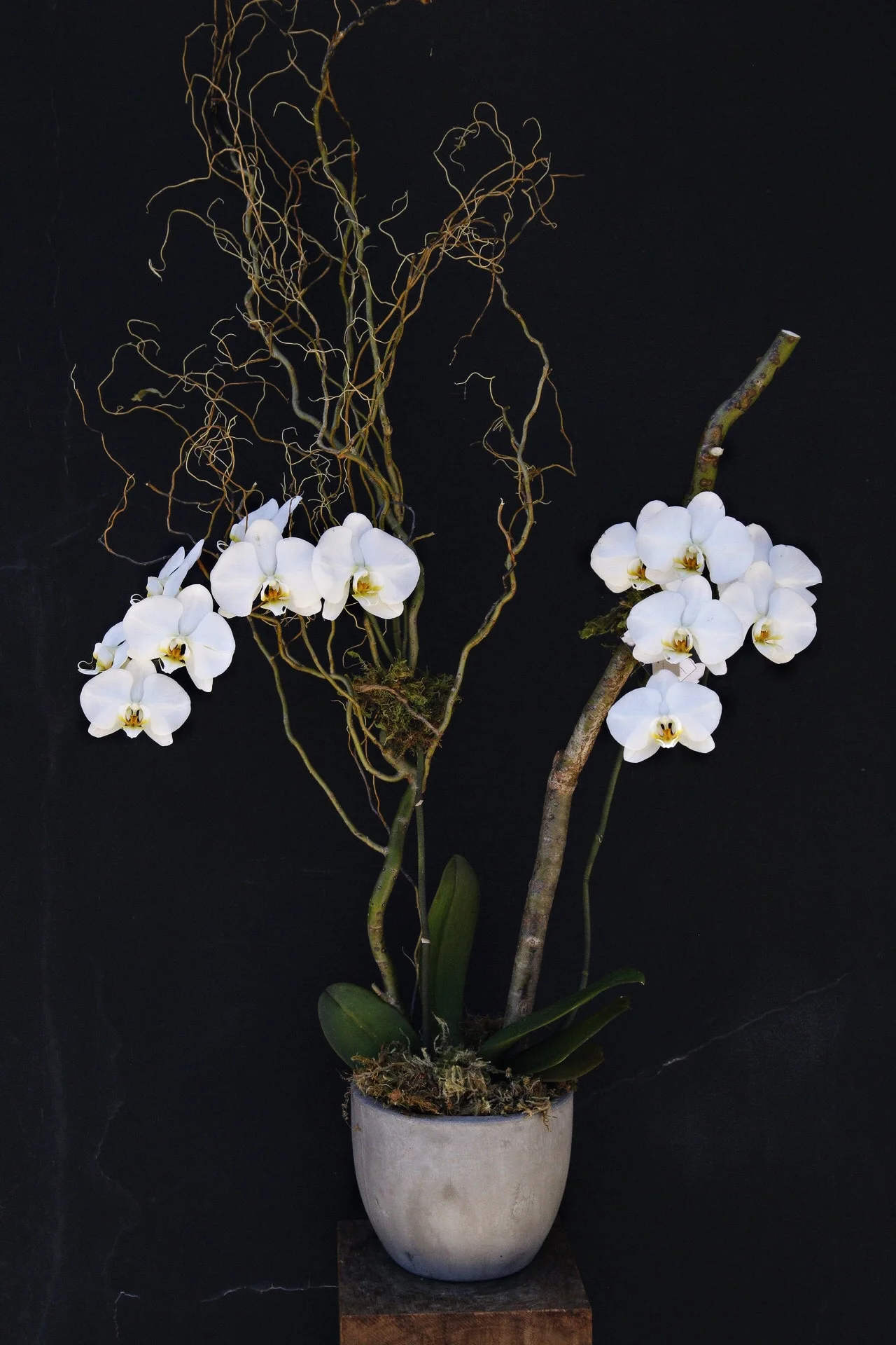 ECB49B5F-6D4F-44F3-9D36-4F178294A816