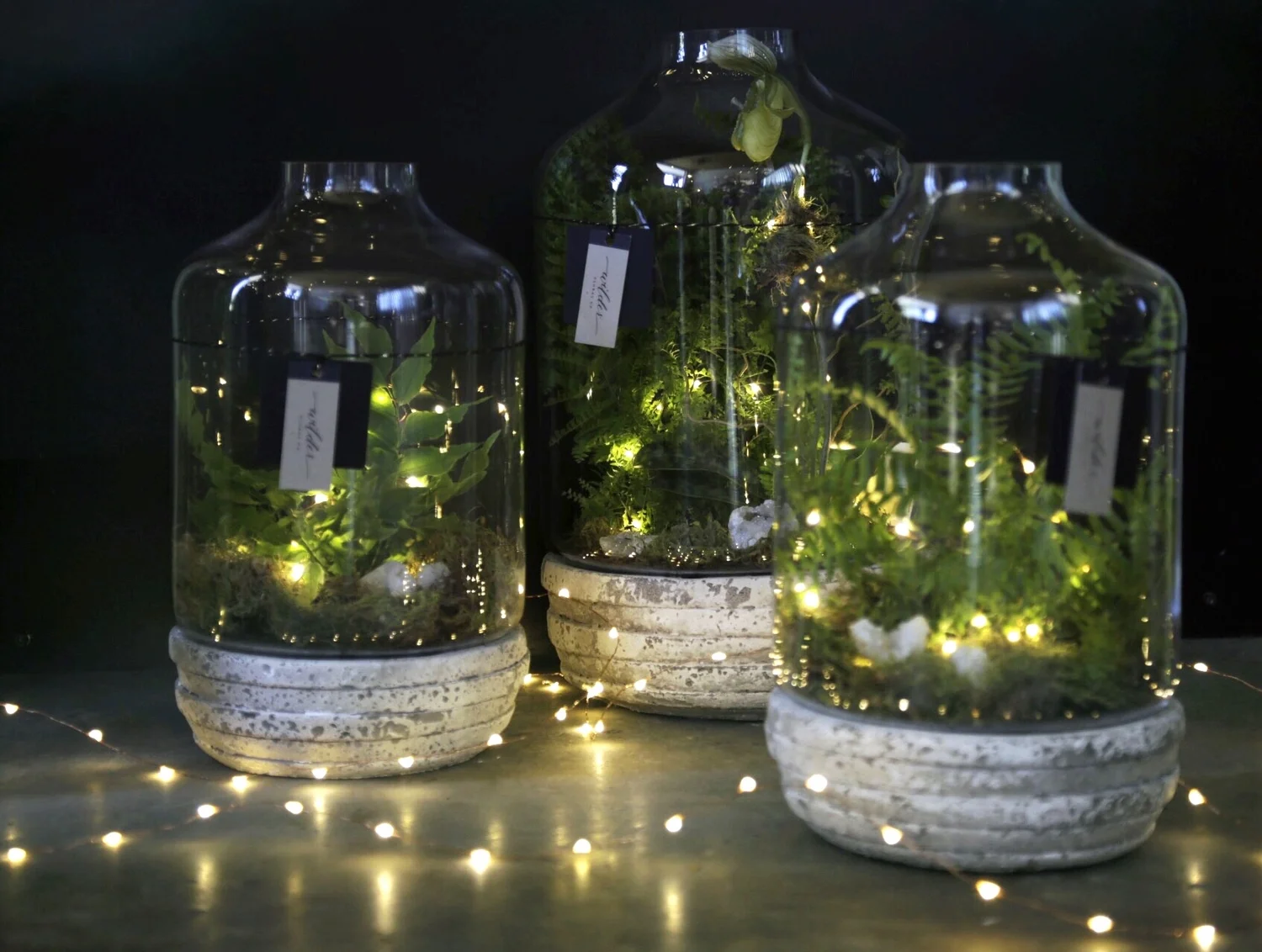 3391C6C7-D6BC-41F4-8BF4-F84AA85727E5