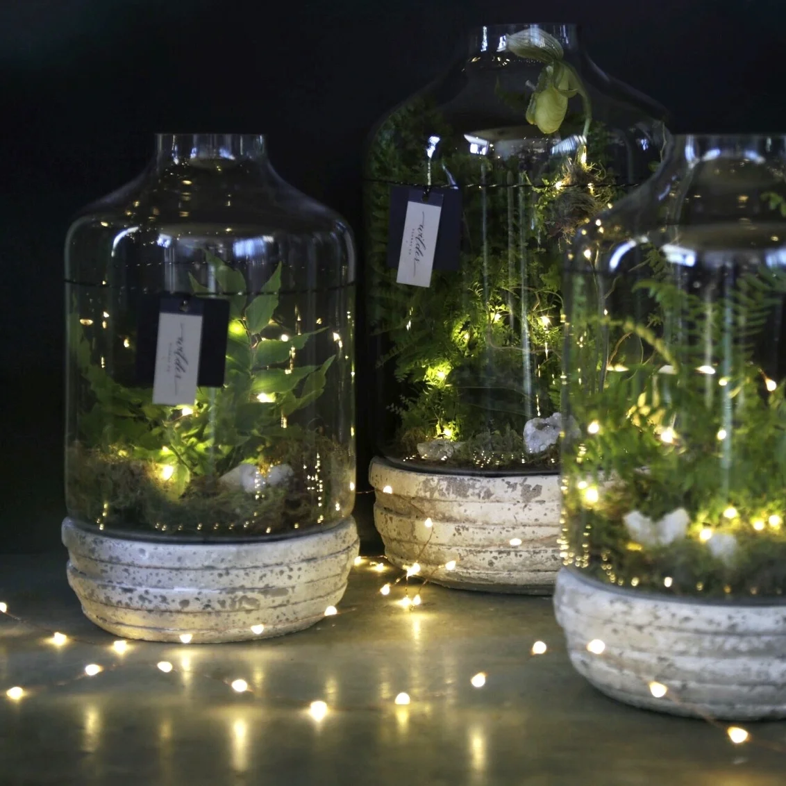 AB8ED054-4BCC-4619-90D6-530F1613085D