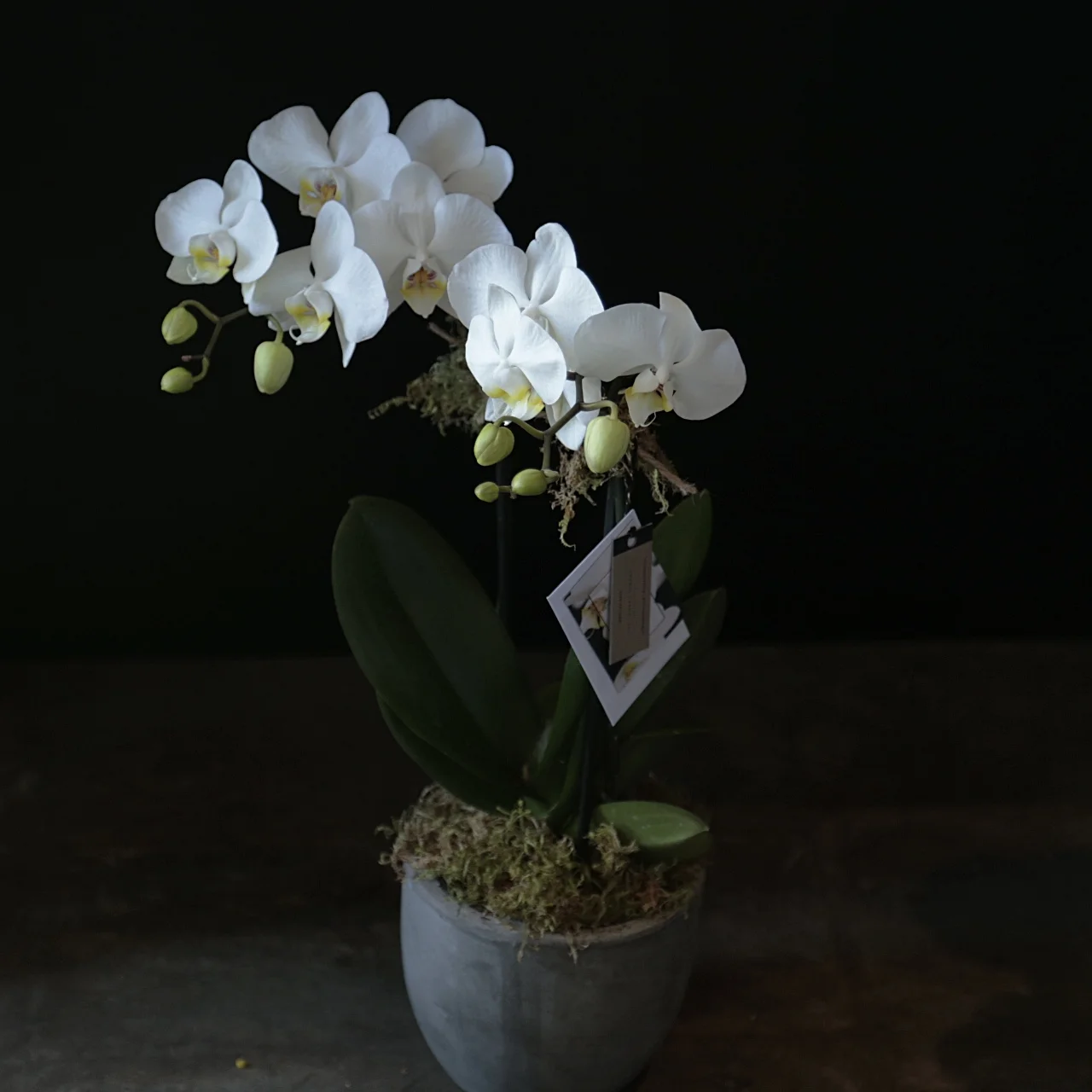 7B8F08AB-FE09-4804-937B-7675B1371BC8