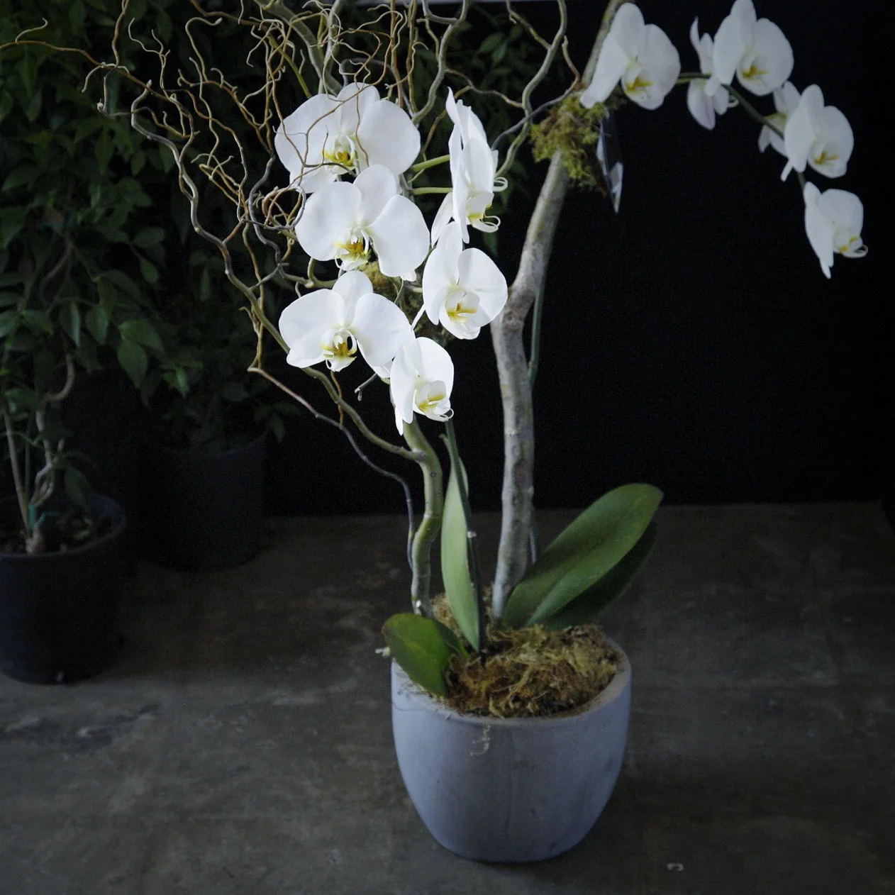 8034EDFC-4EA5-4263-A7A1-B212422FBF6B