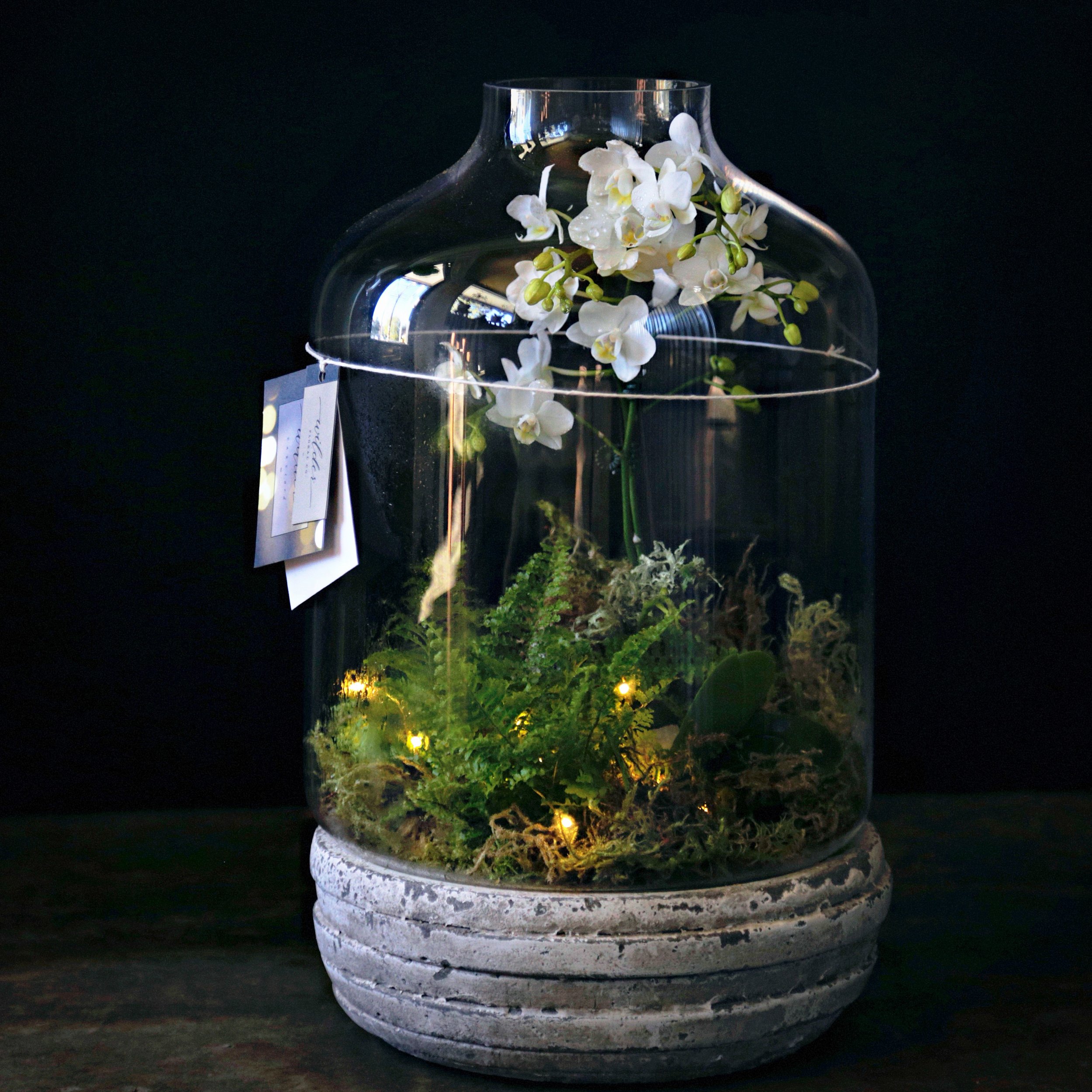 96238D3A-8115-4FA8-919B-62333AC6F802