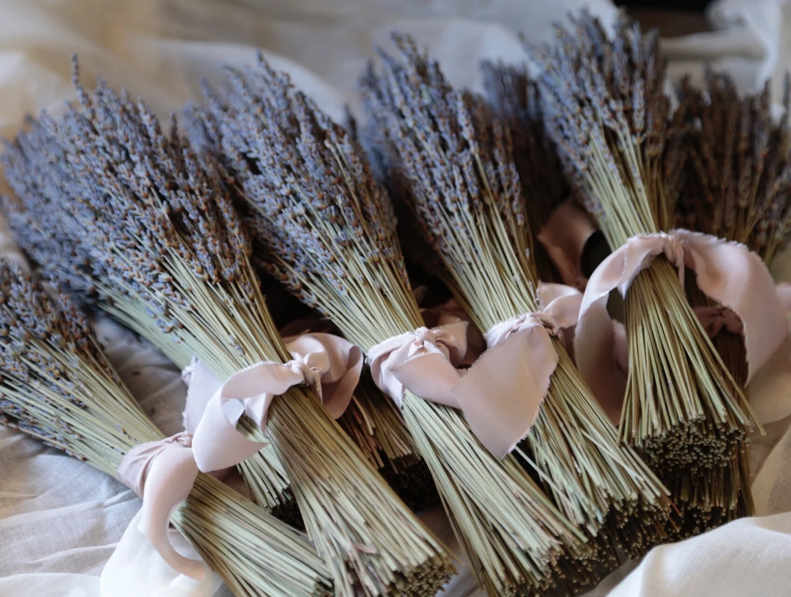 9CBB0D34-AC20-4760-9DB6-A3D49CB24E30