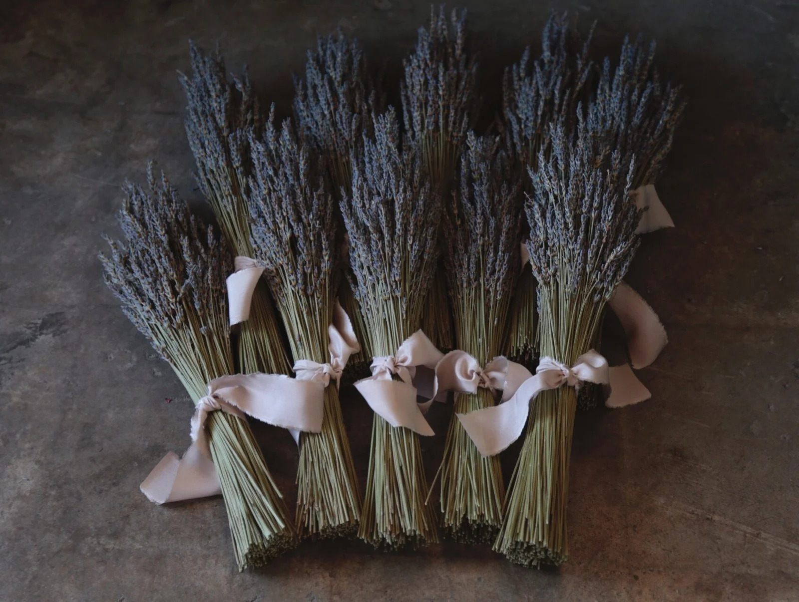 82E49278-9DDA-4E6B-83B5-E6FE1C578E21