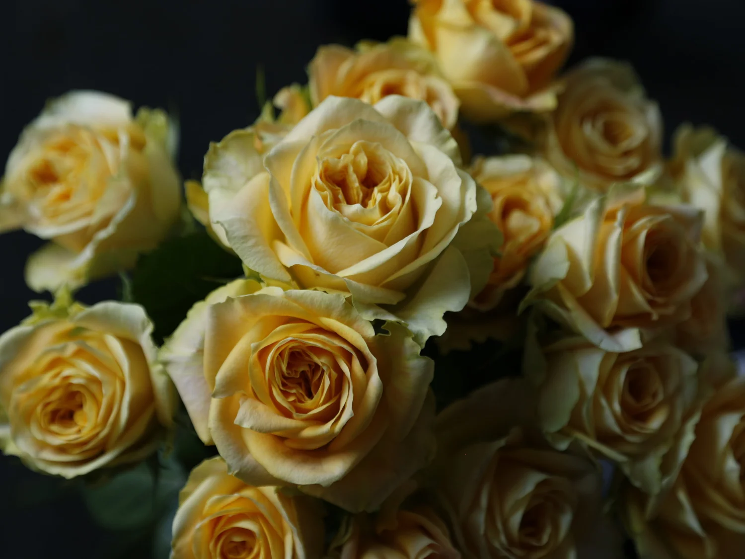 Wilder Floral Co San Luis Obispo Flower Delivery Design