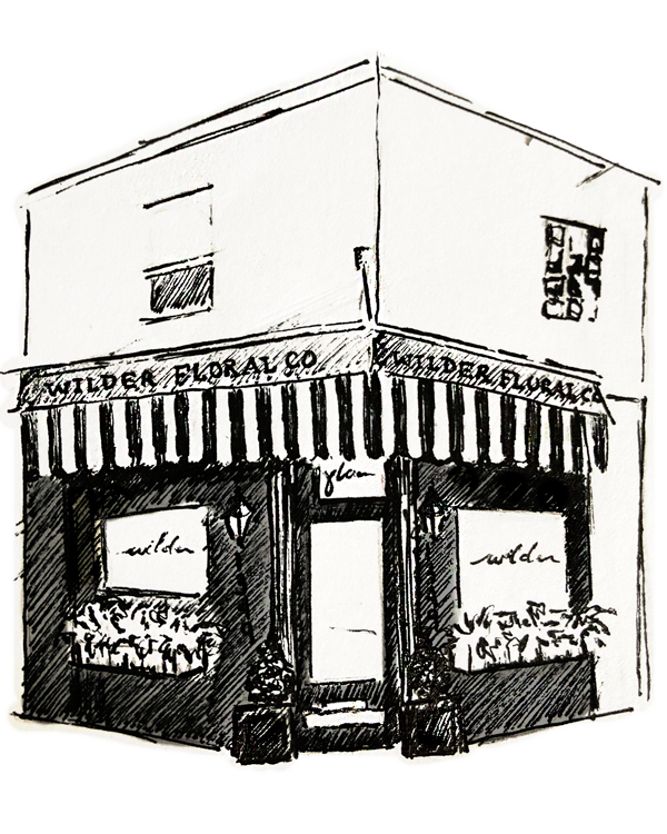 WFco-sketch-3-painted.png