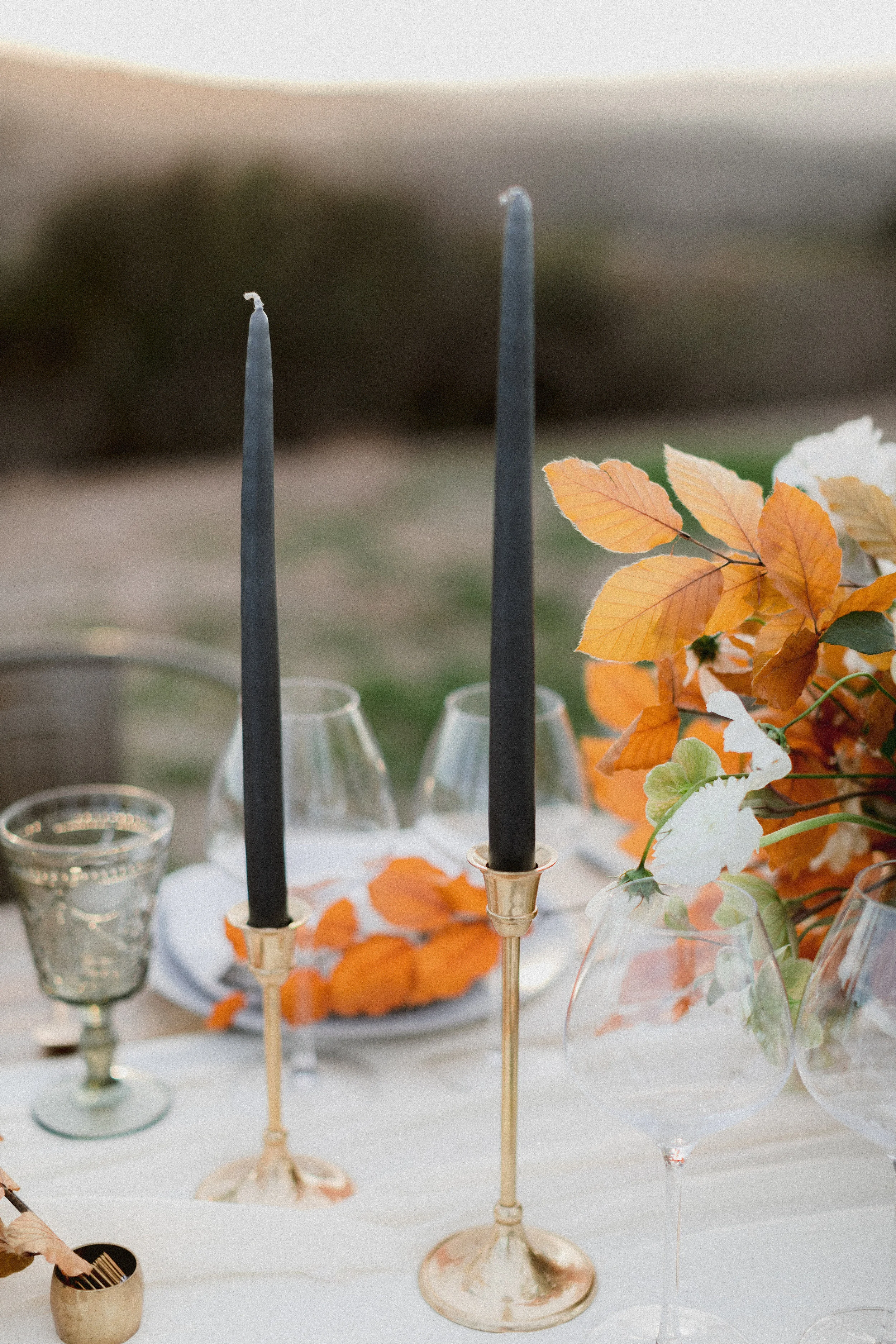 AmberLynnPhotography_450.jpg