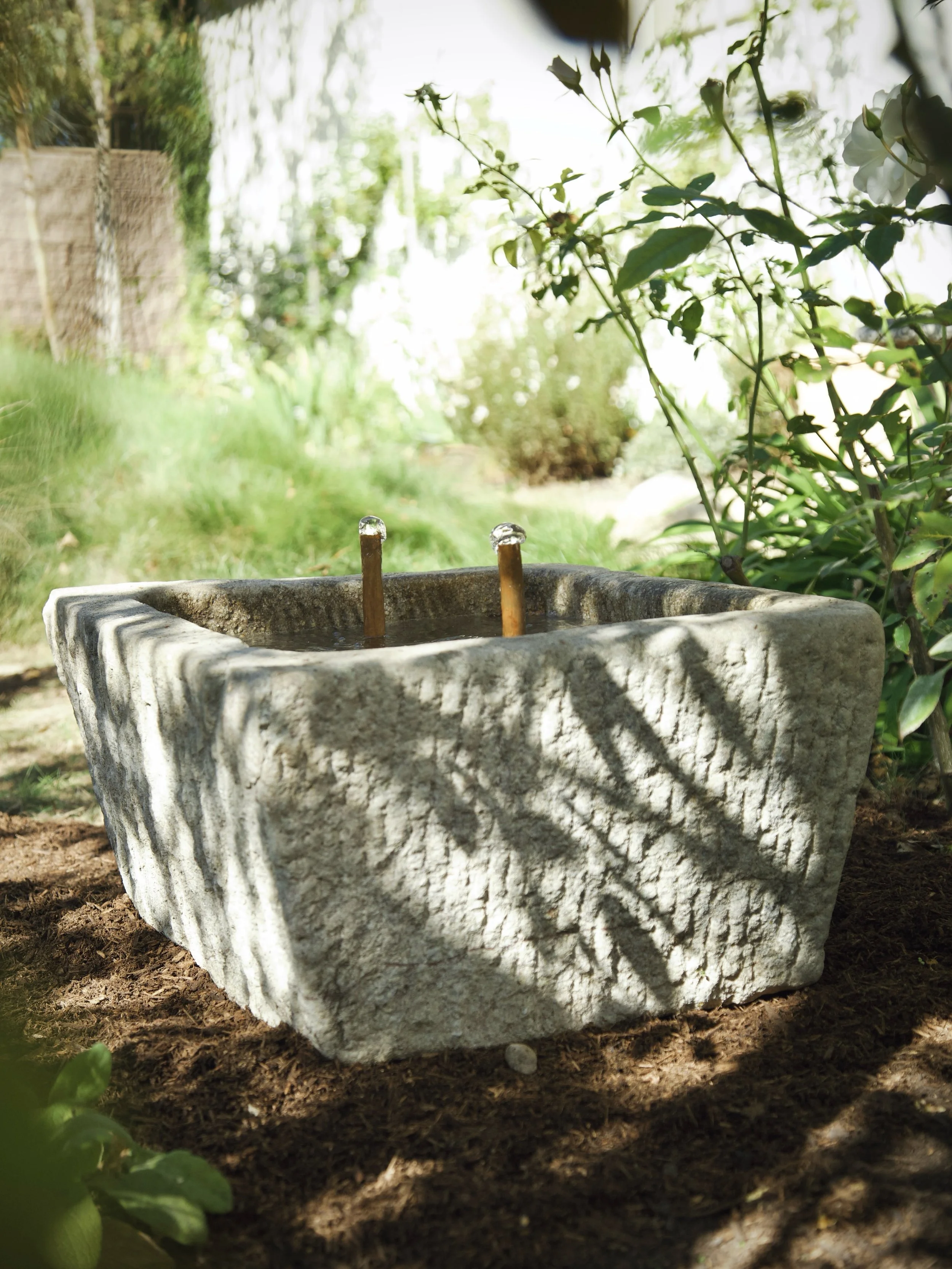 Something new is growing at Wilder. 🌿

For years I&rsquo;ve imagined a little corner of Wilder devoted not only to flowers, but to the things I love living among them: collected garden objects, unusual vessels, plants and one-of-a-kind pieces gather