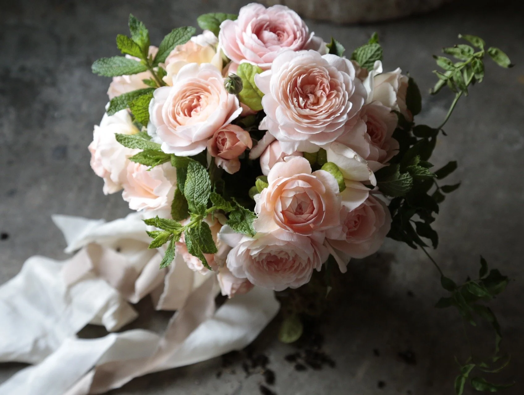 2015-07-19 14.18.56.jpg