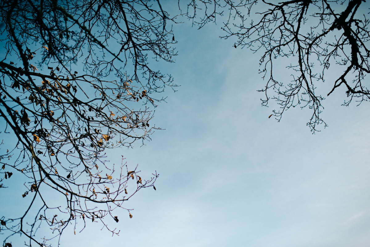 253NikkiLeadbetterPhotography.jpg