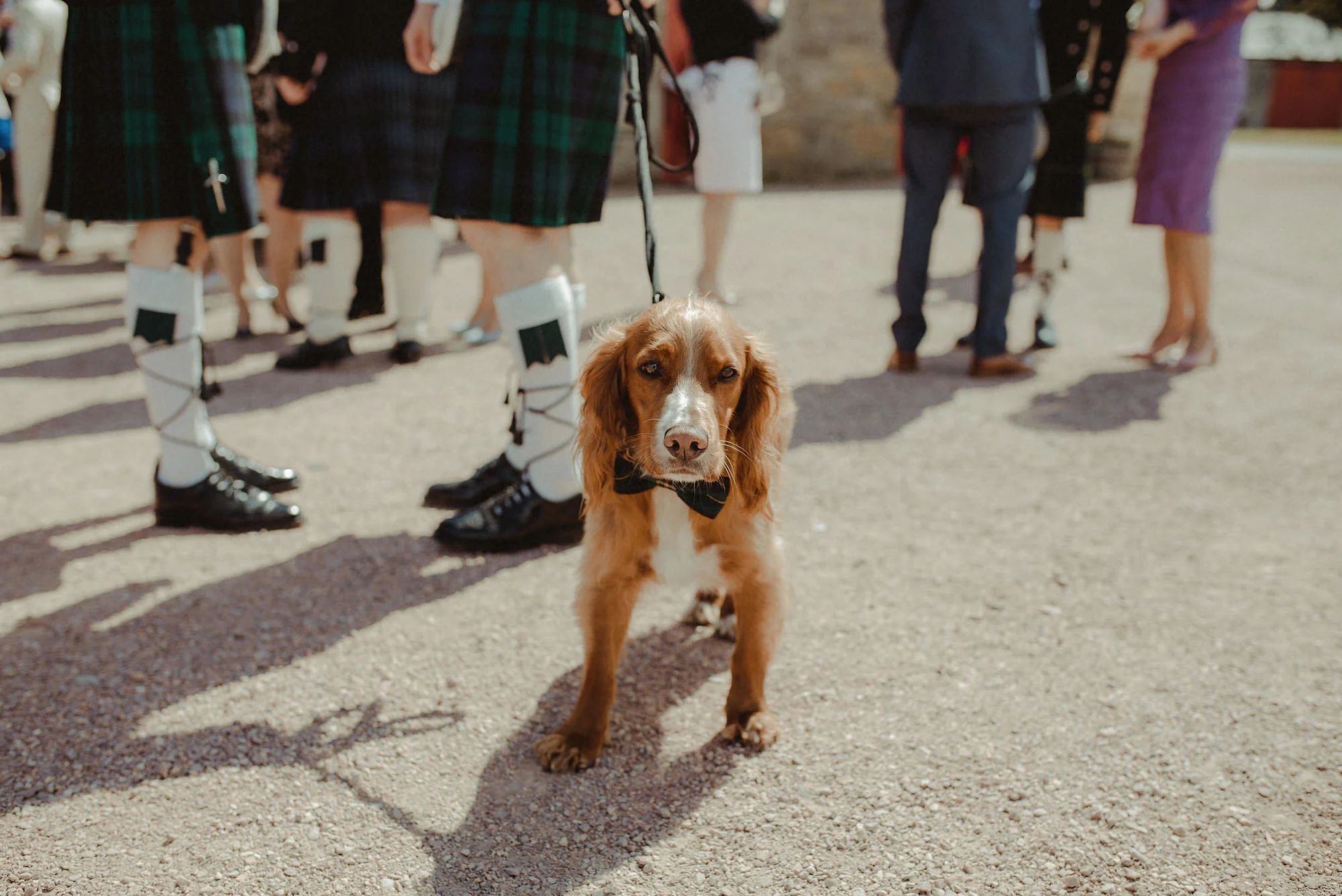 039-NikkiLeadbetter-KinkellByre-AndyNicole.jpg