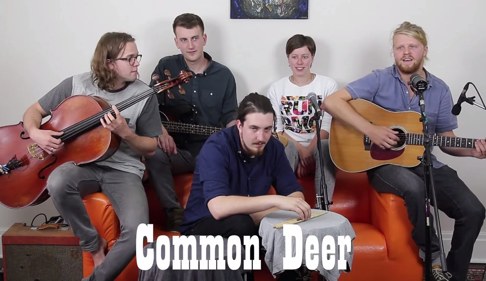 common deer.jpg