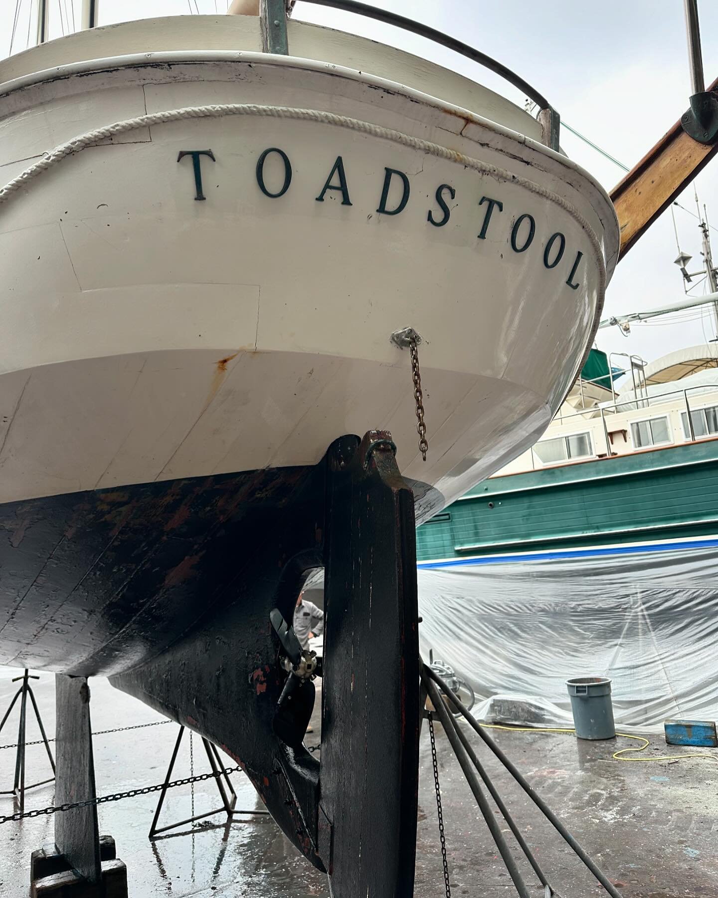 Toadstool. The last boat built by Bill Garden. She was down in Seattle for many years at the Center for Wooden Boats. Now owned locally. Toadstool will be at our shop for a full restoration. We are so pleased to have her.
