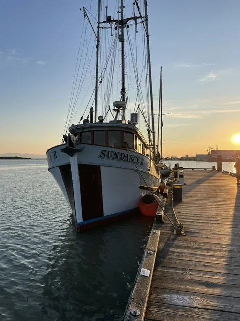 IMG_5205.jpeg