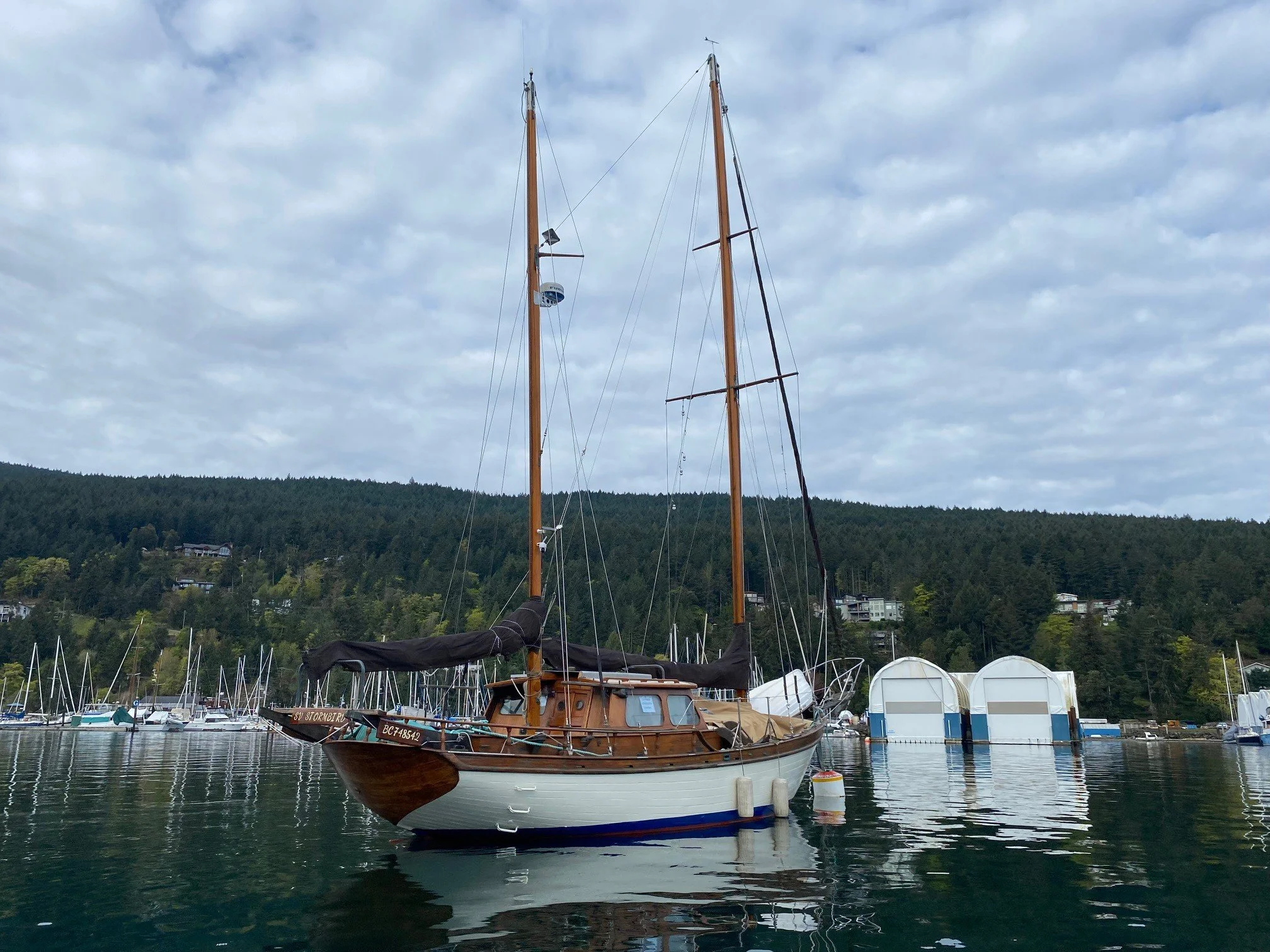 Boat 13.jpg