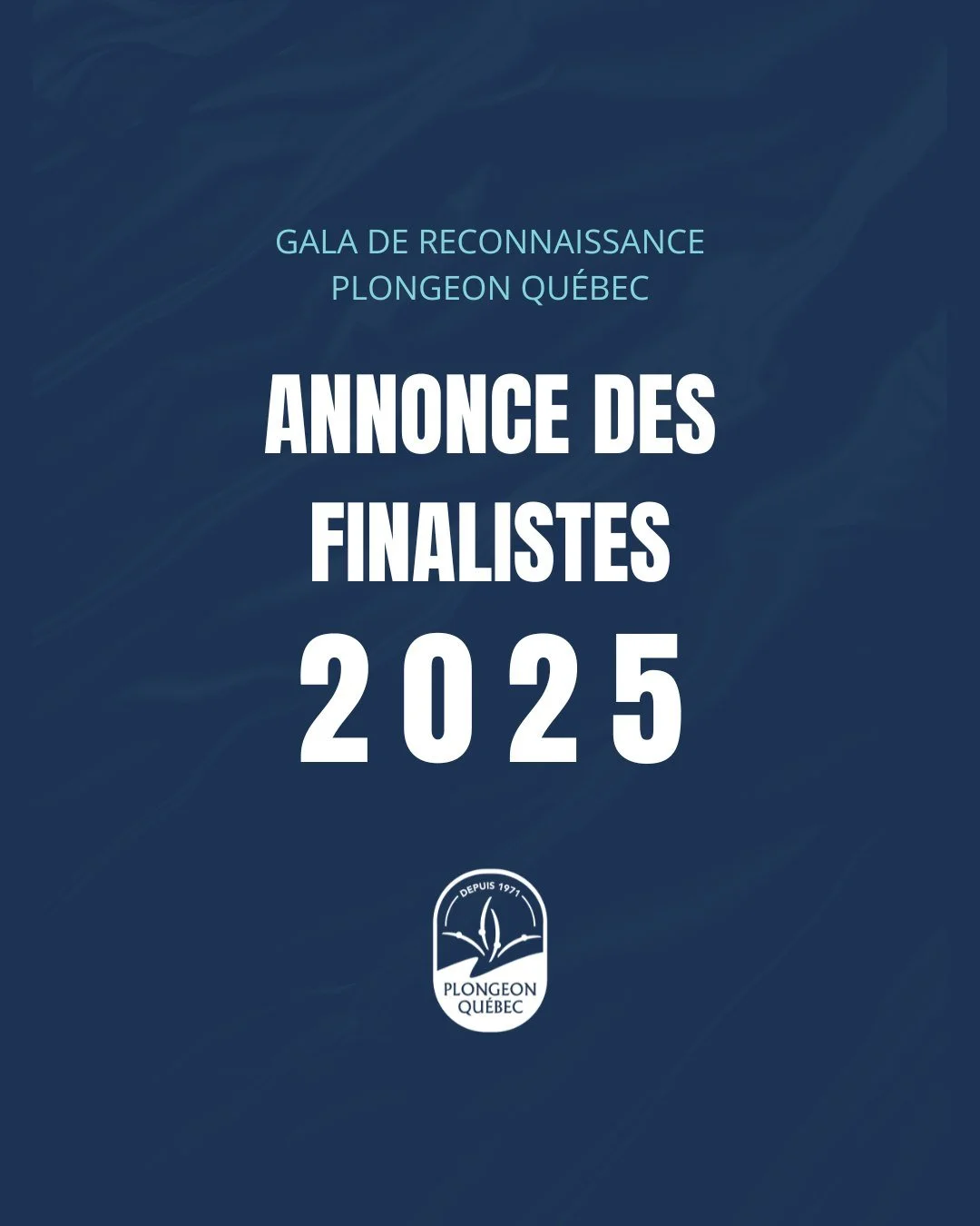 🎉 D&eacute;voilement des finalistes du Gala de reconnaissance 2025 🎉

L&rsquo;&eacute;quipe de Plongeon Qu&eacute;bec est fi&egrave;re d&rsquo;annoncer les finalistes qui seront honor&eacute;&middot;e&middot;s lors du Gala de reconnaissance 2025, q