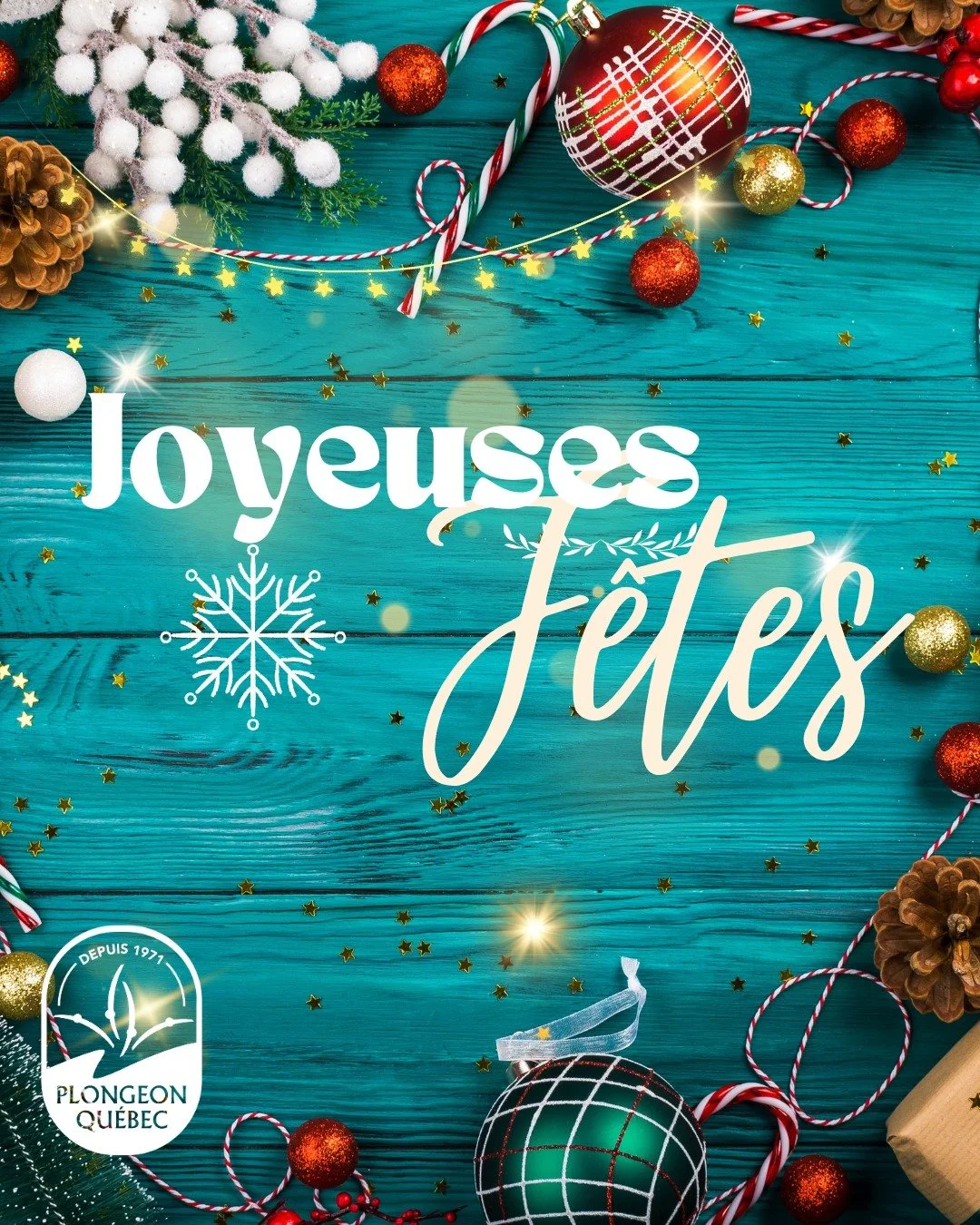 🎄✨ Joyeuses F&ecirc;tes de la part de Plongeon Qu&eacute;bec ! ✨🎄

L&rsquo;&eacute;quipe et le conseil d&rsquo;administration de Plongeon Qu&eacute;bec vous souhaitent de merveilleuses f&ecirc;tes remplies de joie, de rires et de beaux moments en f