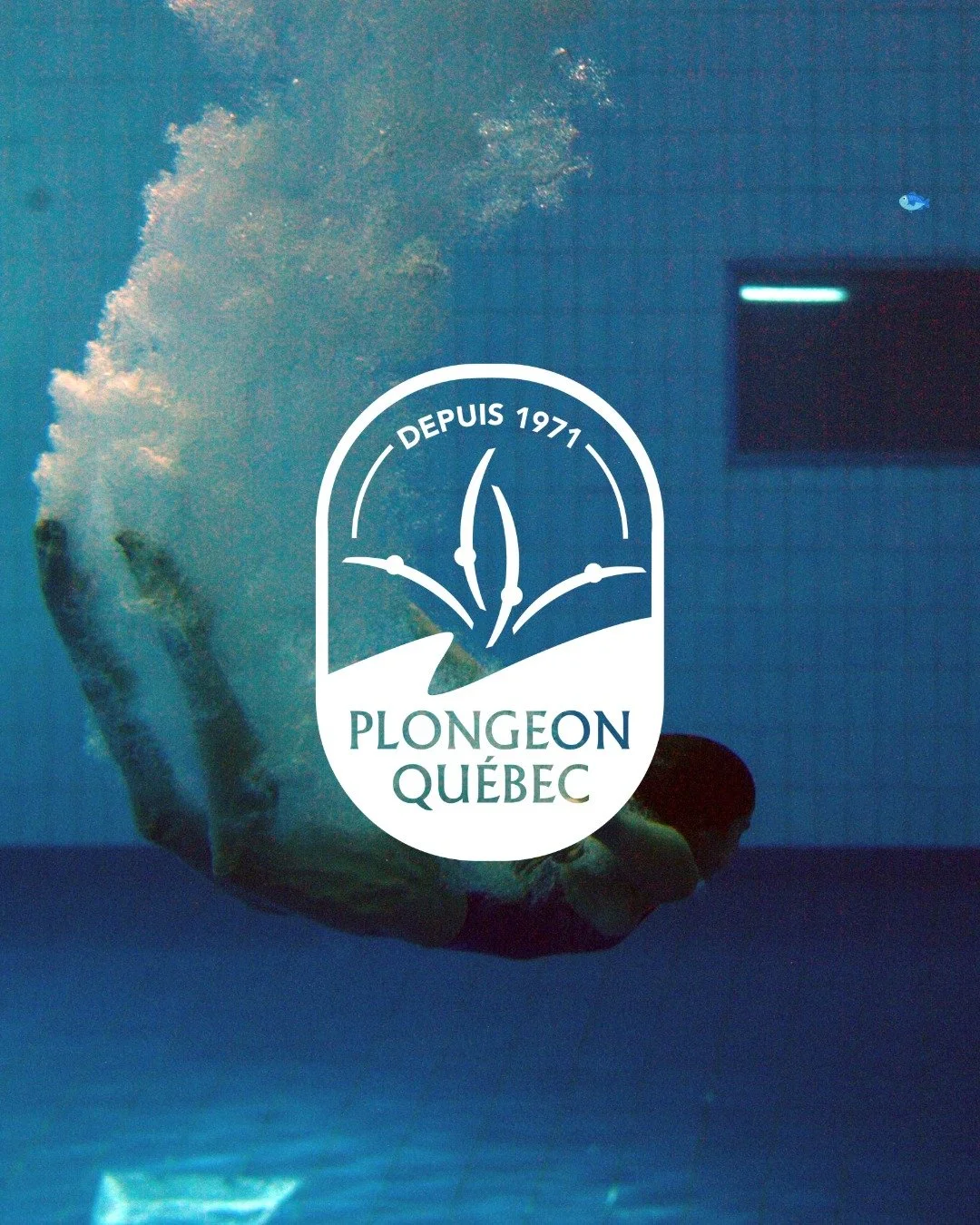 🕺🎶 Nouveaut&eacute; en plongeon ?!

Plongeon Qu&eacute;bec explore de nouvelles fa&ccedil;ons de faire vibrer la discipline&hellip; et si le plongeon avec musique devenait une r&eacute;alit&eacute; ? 🎵

Imaginez : vos athl&egrave;tes de plongeon r