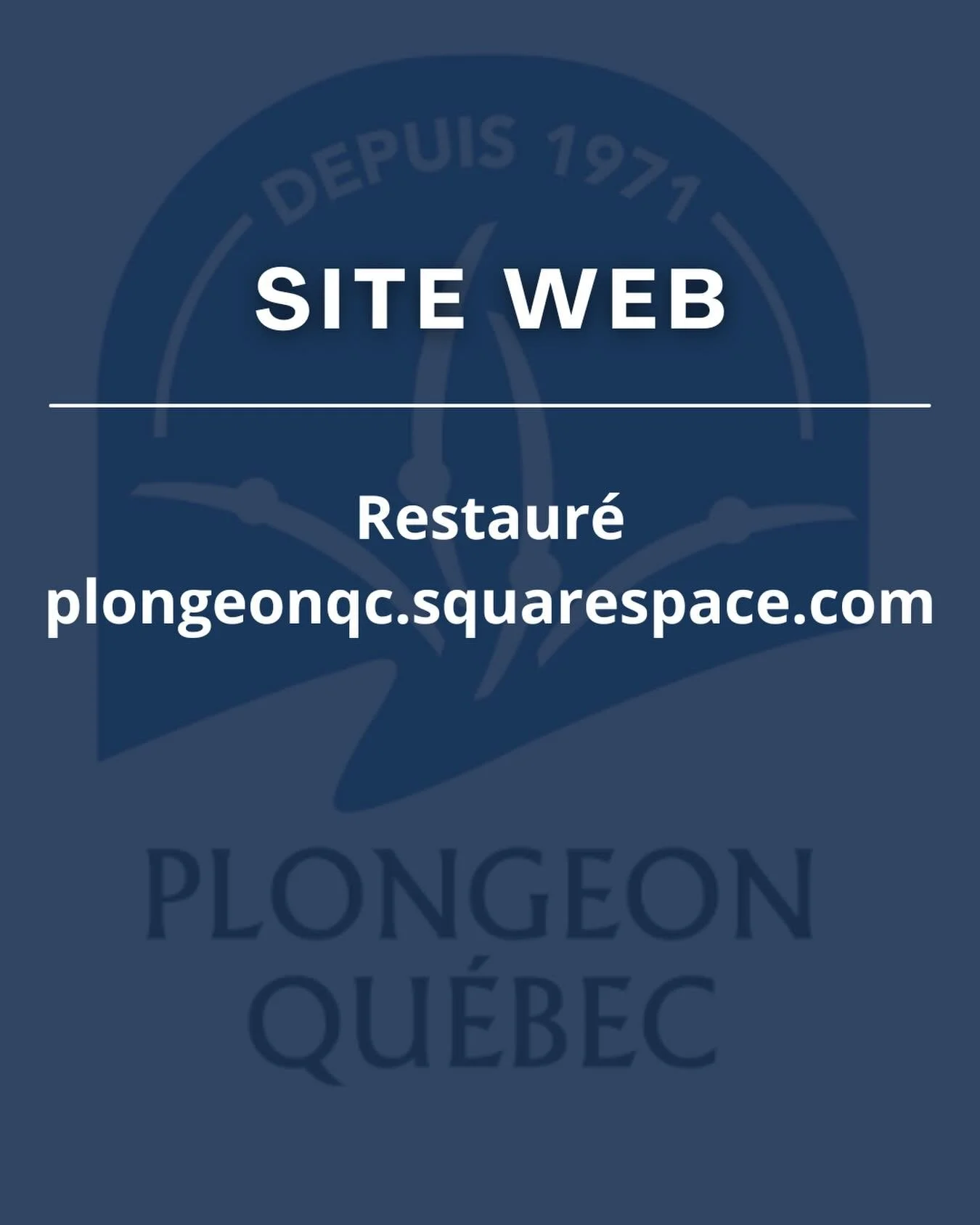 Le site web de Plongeon Qu&eacute;bec est maintenant restaur&eacute;. 

Temporairement, le site est redirig&eacute; vers plongeonqc.squarespace.com

Merci de votre compr&eacute;hension! 🙂