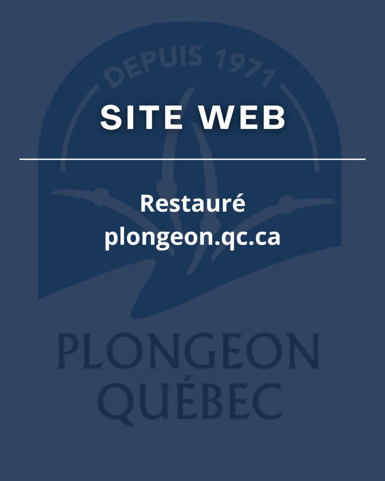 Le site web de Plongeon Qu&eacute;bec est maintenant restaur&eacute;!

Le site est de nouveau accessible au plongeon.qc.ca 🙂