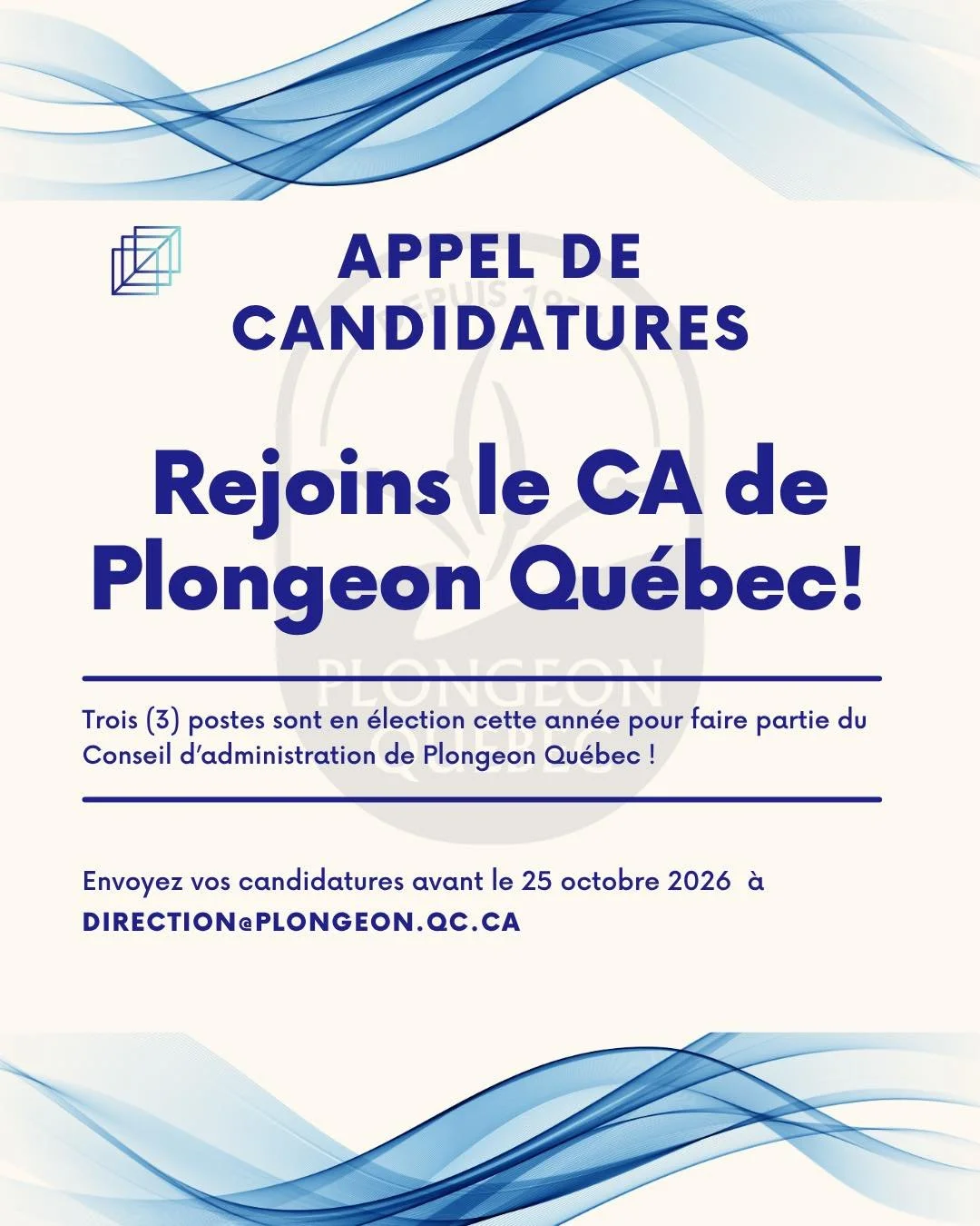 📣 Candidatures ouvertes &ndash; Conseil d&rsquo;administration de Plongeon Qu&eacute;bec

Vous souhaitez contribuer activement au d&eacute;veloppement du plongeon au Qu&eacute;bec? Trois postes sont en &eacute;lection cette ann&eacute;e au sein du c