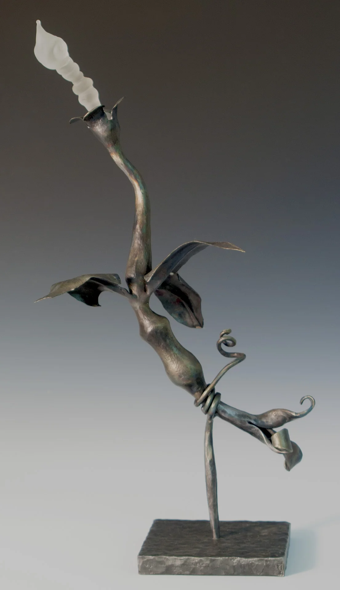 Rhizome Flight