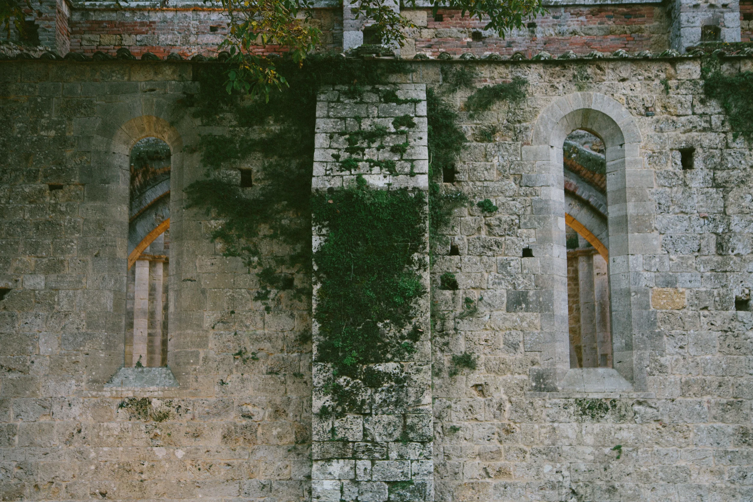645A7108.jpg