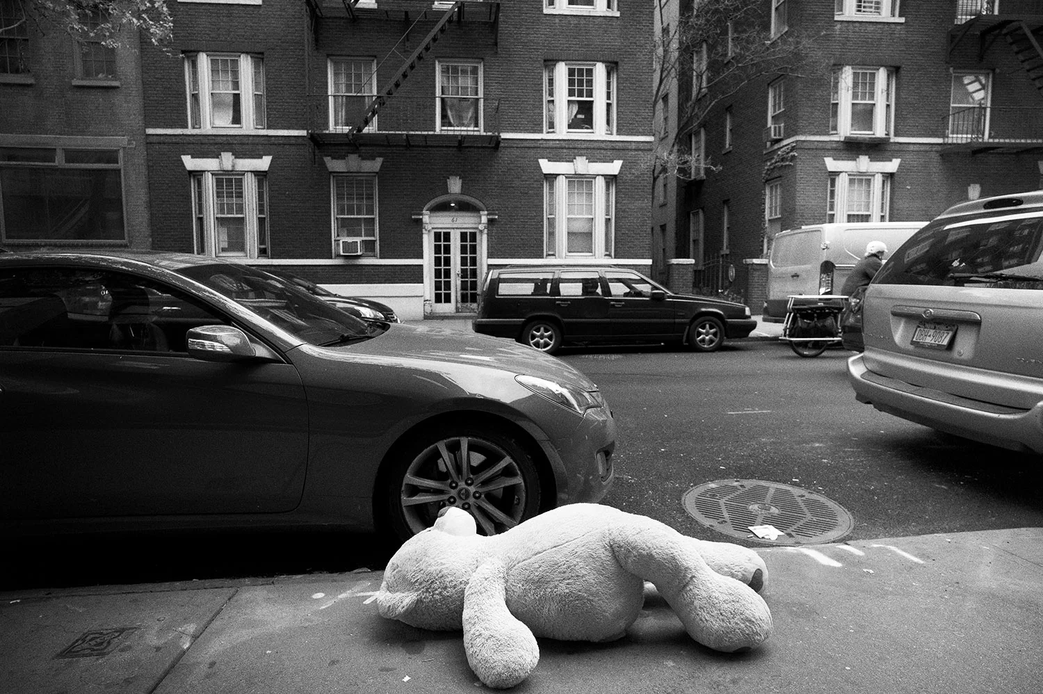 bear.jpg
