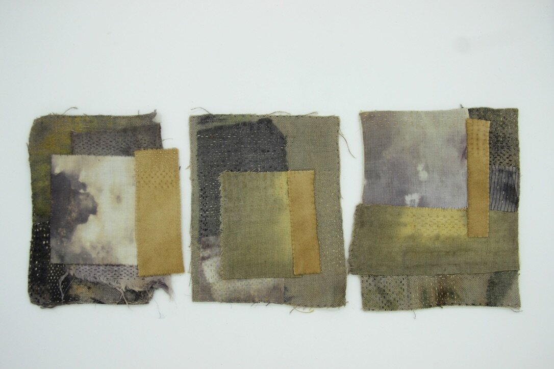 Dyer's field, Fieldnotes, 2014