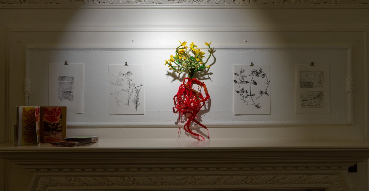 Gatty's Gift, Haworth Art Gallery, 2021 (curator) Madder plant by Leigh and Pixie Willow