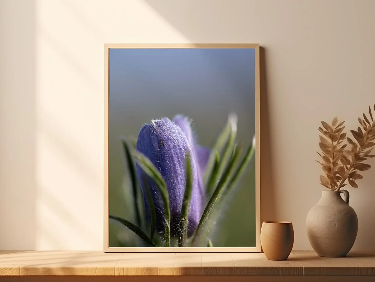 {The Iconin  Prairie Crocus MU} (50).jpg