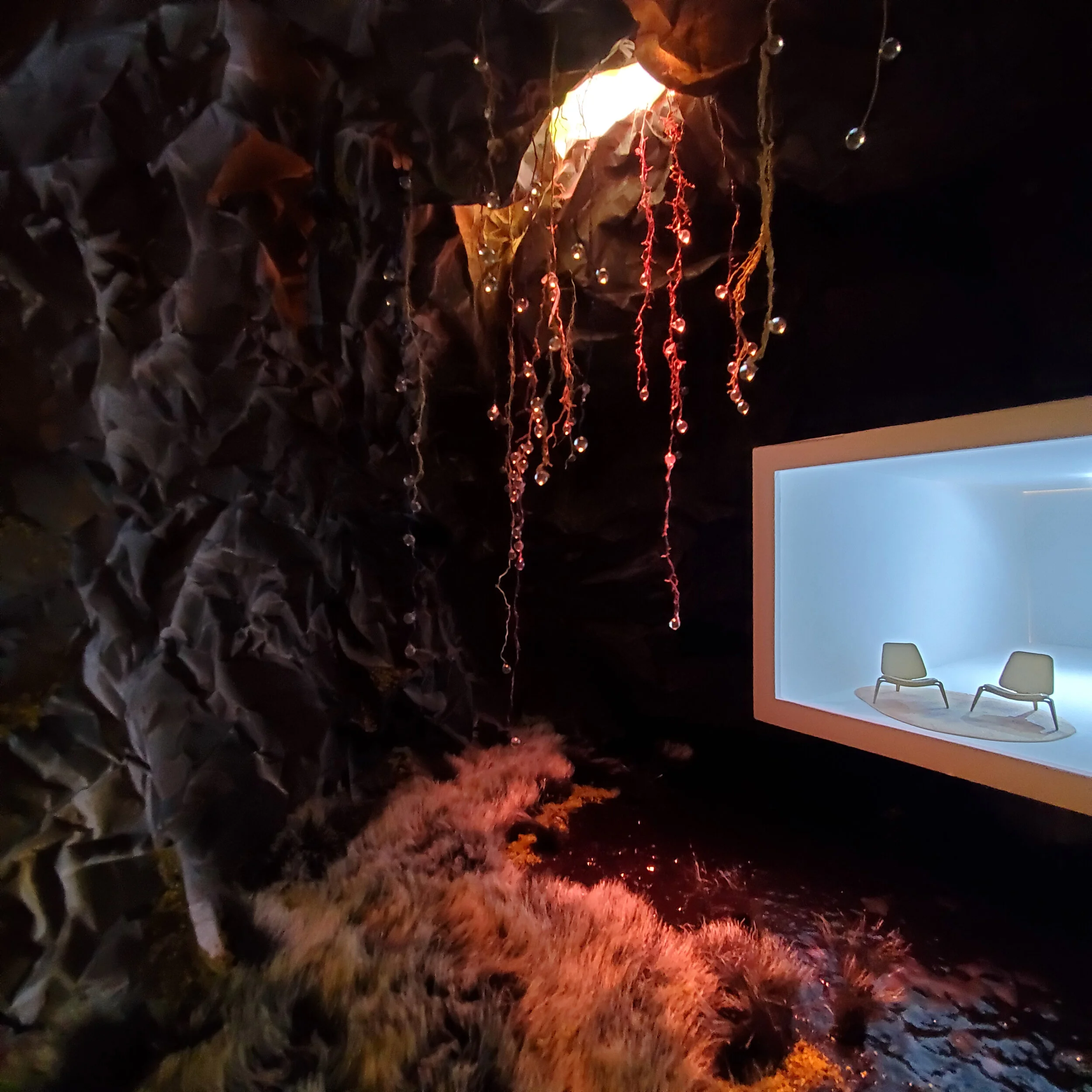 CAVE DWELLER_RED_1.jpg