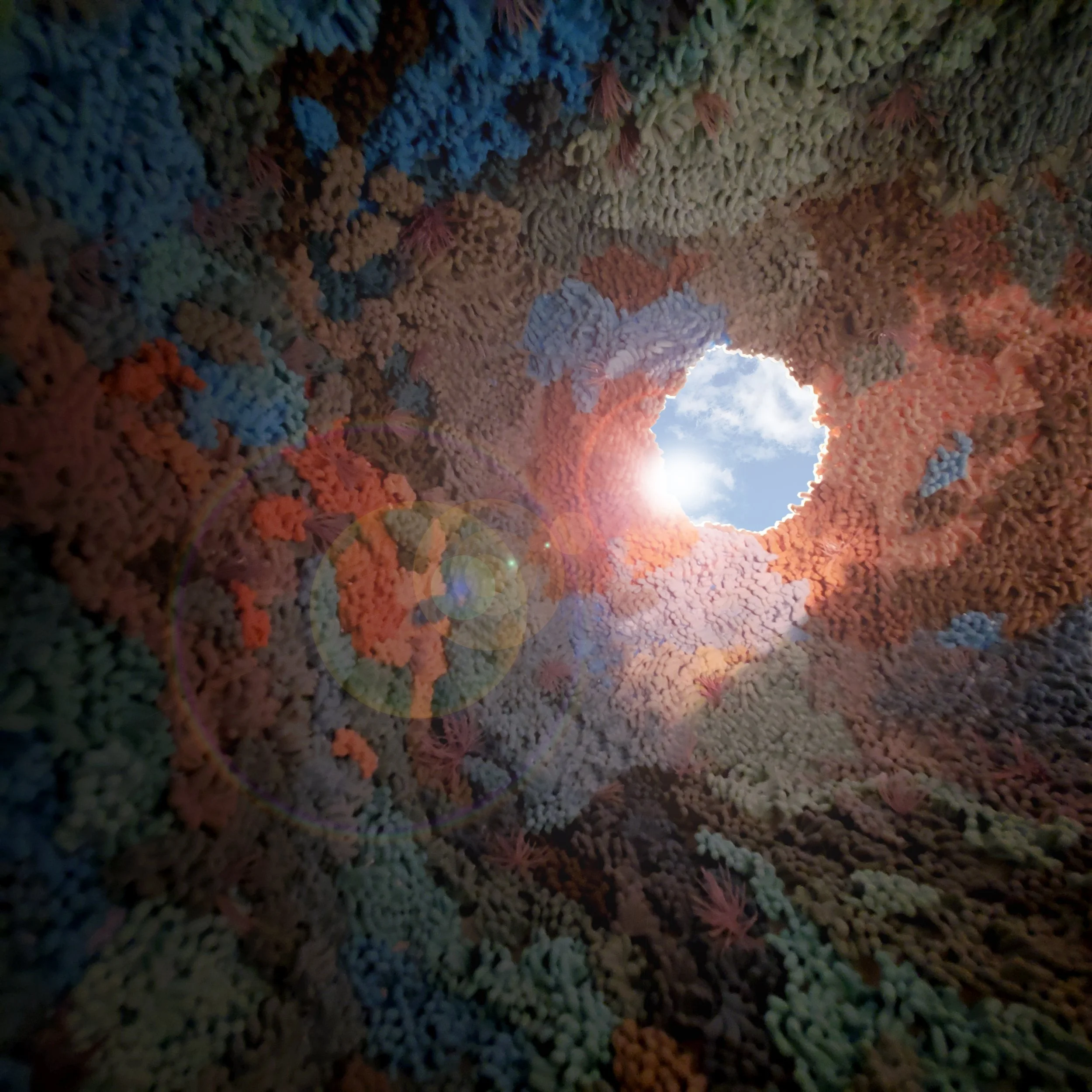 cavern ceiling.jpg