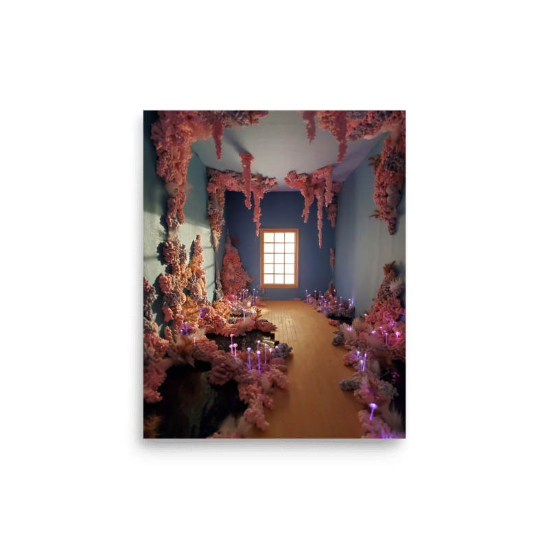 THE WINDOW BLANK.png